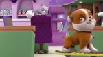 PAW.Patrol.S01E15.Pups.Make.a.Splash.-.Pups.Fall.Festival.720p.WEBRip.x264.AAC 79313