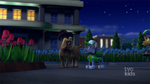 PAW Patrol 316B Scene 34