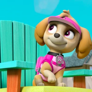 paw patrol sea patrol sky