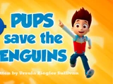 Pups Save the Penguins