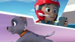 PAW.Patrol.S01E15.Pups.Make.a.Splash.-.Pups.Fall.Festival.720p.WEBRip.x264.AAC 520253