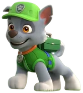 Standard outfit (Rubble & Crew)