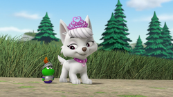 Rescue Knights: Pups Save the Baby Dragons, PAW Patrol Wiki