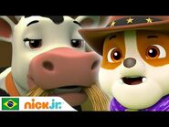 PAW Patrol - Vacas da rebelião - Nick Jr