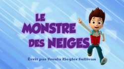 Paw Patrol, la Pat'Patrouille : Des ours dans la ville / Madame