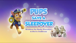 Pups Save a Sleepover (HQ)