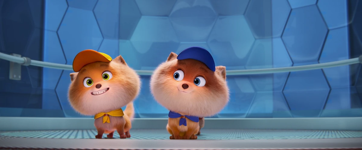 Mini/Appearances | PAW Patrol Wiki | Fandom