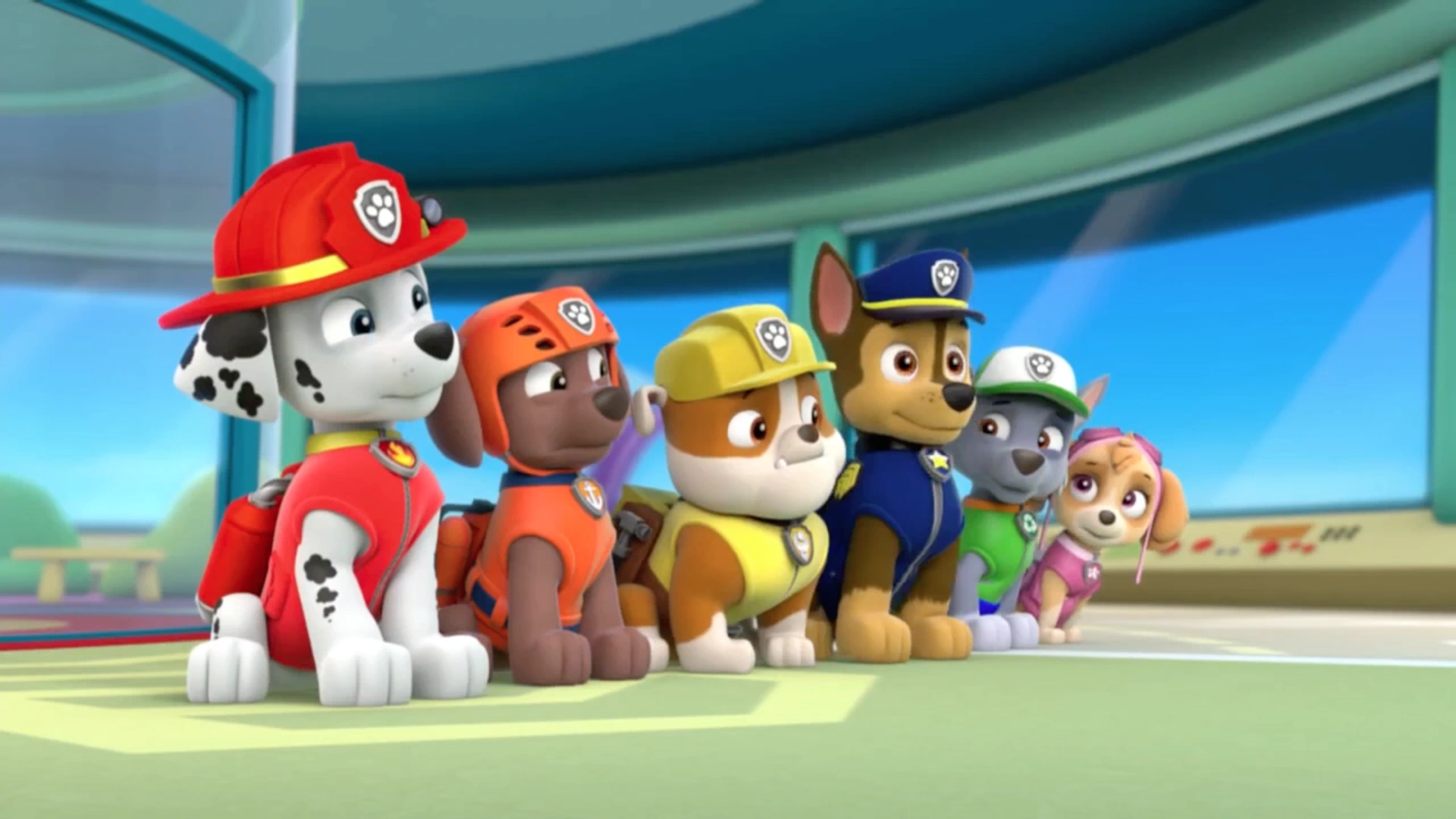 ryder and the paw patrol
