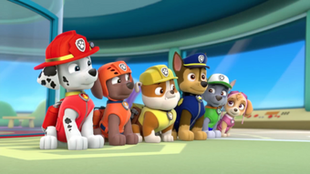 Pups Save Ryder Quotes Paw Patrol Wiki Fandom