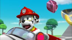 Paw patrol online marshall home alone