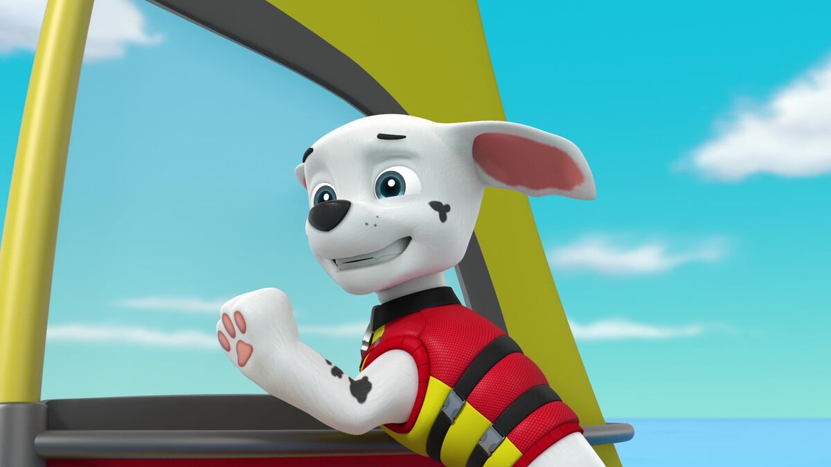 Marshall/Gallery/Sea Patrol: Pups Save a Windsurfer, PAW Patrol Wiki