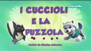 "Pups Get Skunked" ("I cuccioli e la puzzola") title card on Cartoonito