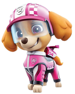 Paw patrol skye racer new arrivals