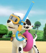 43C973ECA89B.jpeg (118 KB) Scuba mask and floaty