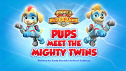 Mighty Pups, Super Paws Pups Meet the Mighty Twins (HQ)