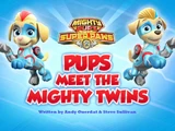Mighty Pups, Super Paws: Pups Meet the Mighty Twins
