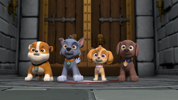 Rescue Knights: Pups Save Excalibark, PAW Patrol Wiki