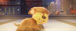 As a young pup (PAW Patrol: The Movie)