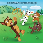 Chase falls back from the other pups