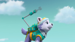 Everest, PAW Patrol Wiki