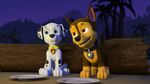 PAW.Patrol.S02E16.Pups.Save.a.Mer-Pup.720p.WEBRip.x264.AAC 134167