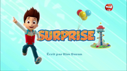 "Pups Save a Surprise" ("Surprise") title card on TF1