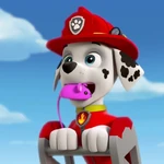 Marshall holding Cali's toy