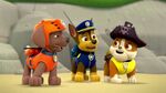 PAW.Patrol.S01E26.Pups.and.the.Pirate.Treasure.720p.WEBRip.x264.AAC 646546