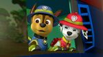 Paw.Patrol.S03E25.Tracker.Joins.the.Pups.720p.WEB-DL.AAC2.0.H264-BTN 435101