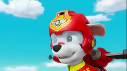Air patrol marshall sales
