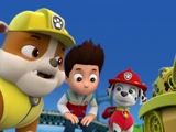 Pups Save the Sea Turtles/Trivia