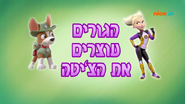 "Pups Stop the Cheetah" ("הגורים עוצרים את הצ'יטה") title card on Nick Jr.