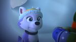 PAW.Patrol.S02E07.The.New.Pup.720p.WEBRip.x264.AAC 574574