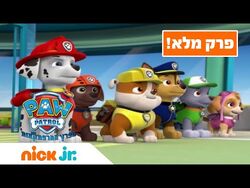Paw patrol deals baby videos