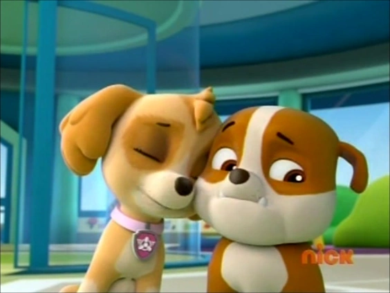 rubble and skye paw patrol