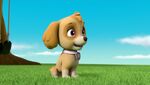 Ultimate Rescue: Pups Save the Mountain Climbers/Gallery | PAW Patrol ...