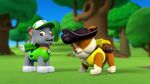 PAW.Patrol.S01E26.Pups.and.the.Pirate.Treasure.720p.WEBRip.x264.AAC 884517