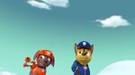 PAW.Patrol.S02E07.The.New.Pup.720p.WEBRip.x264.AAC 817483