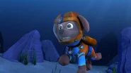 Mischievous Octopus 155.png (1.36 MB) Sea Patrol scuba suit (as of Season 8)