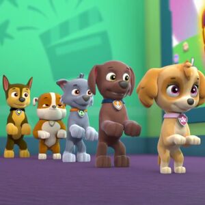paw patrol egg hunt