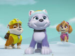 Silly-short-paw-patrol-ice-or-snow-4x3