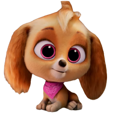 Skye, PAW Patrol Wiki