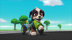 Rex | PAW Patrol Wiki | Fandom