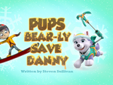 Pups Bear-ly Save Danny