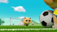 Pups Soccer 20