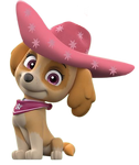 Skye - Cowboy Hat