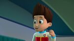 PAW.Patrol.S02E07.The.New.Pup.720p.WEBRip.x264.AAC 299633