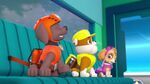 PAW.Patrol.S02E07.The.New.Pup.720p.WEBRip.x264.AAC 609776