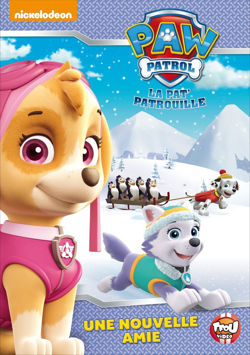 Paw Patrol, Vol. 9 : Une équipe De Champions [DVD]