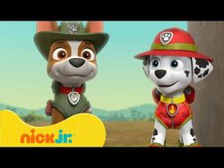 PAW Patrol - Tracker Joins The Pups - Rescue Episode - PAW Patrol Official  & Friends! 